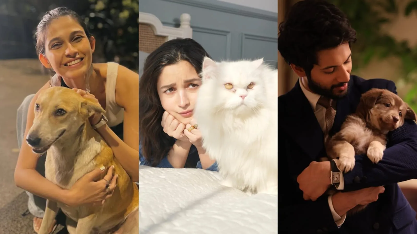 EXCLUSIVE: Raj Shamani Reveals How He Landed Viral Vijay Mallya Interview  on The Great Indian Kapil Show | The Filmy Charcha